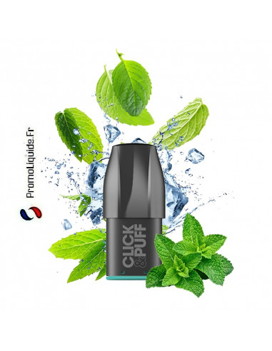 Recharge Puff Menthe Glaciale X-Bar Click & Puff