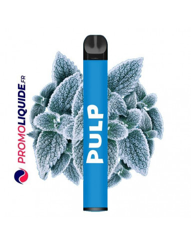 Puff Menthe Polaire Pod by Pulp