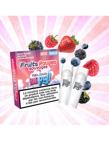 Recharge Big Puff Reload Fruits Rouges Sauvages x 2